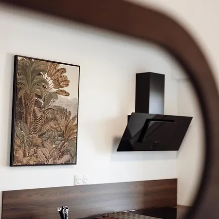 Royale Lumineux Jacuzzi Parking Prive Apartment Mulhouse