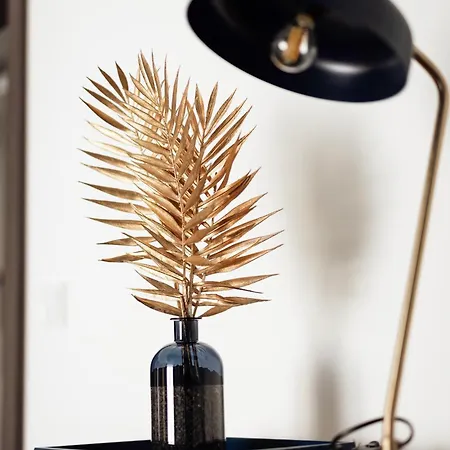 Royale Lumineux Jacuzzi Parking Prive Apartment *