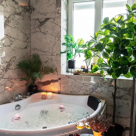 Apartment Royale Lumineux Jacuzzi Parking Prive