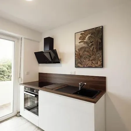 Apartment Royale Lumineux Jacuzzi Parking Prive