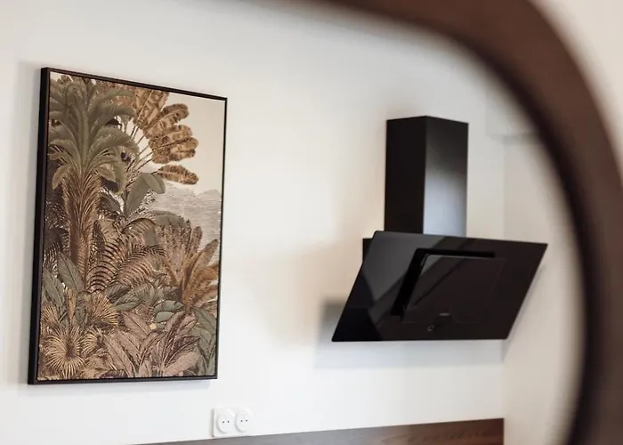 Royale Lumineux Jacuzzi Parking Privé Apartamento Mulhouse