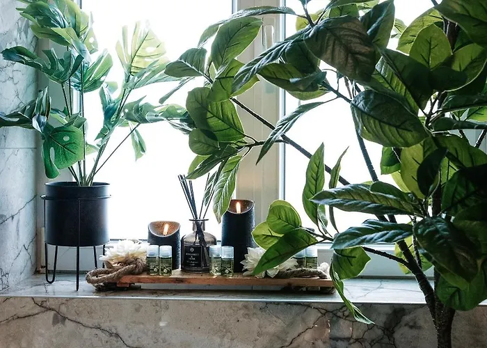 Royale Lumineux Jacuzzi Parking Privé