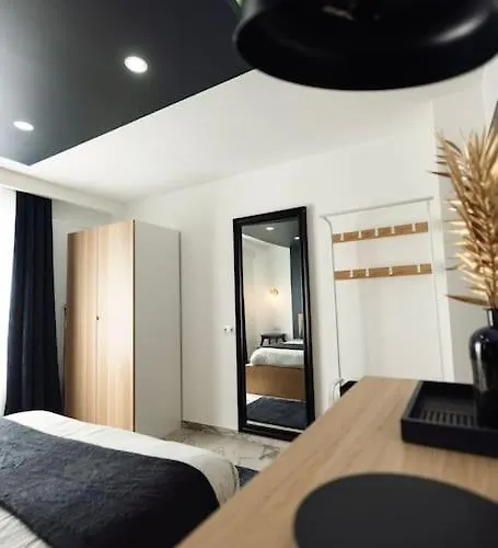 Royale Lumineux Jacuzzi Parking Privé * Mulhouse